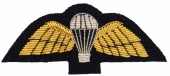 Wing Badge